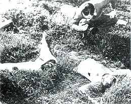 escena del crimen 1947